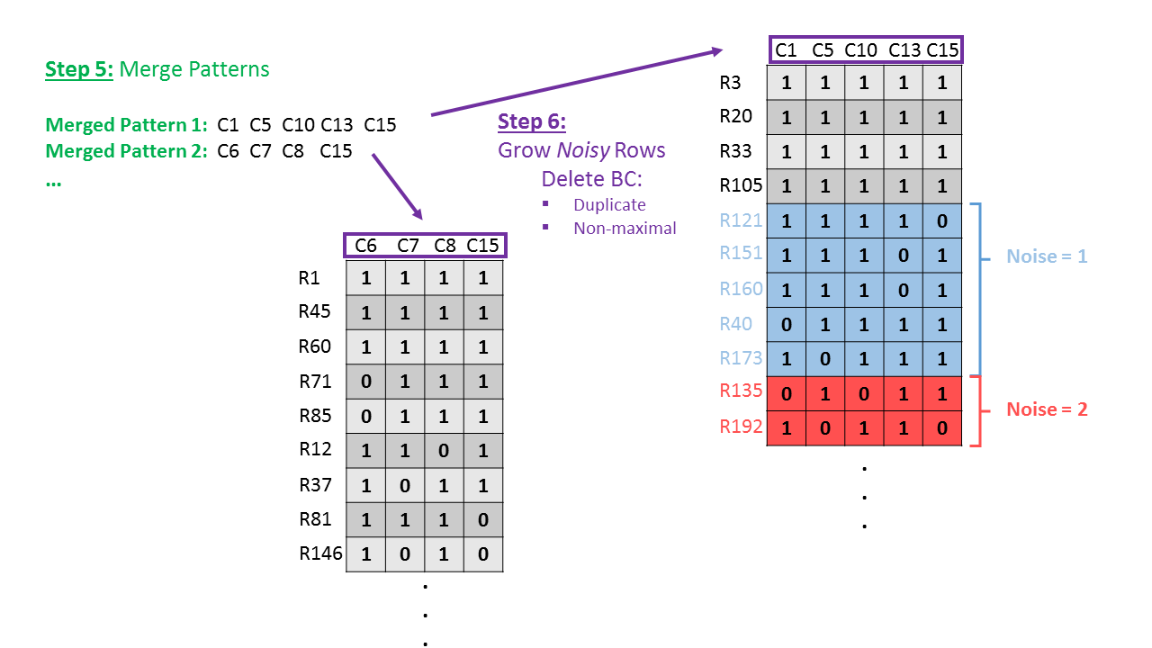 BiBit Workflow - Schematic (Step 5-6)